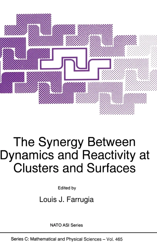 The Synergy Between Dynamics and Reactivity at Clusters and Surfaces: v. 465 (NATO Science Series: C: Mathematical & Physical Sciences)