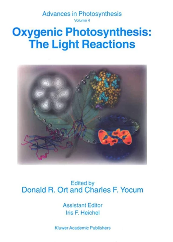 Oxygenic Photosynthesis: The Light Reactions: 4 (Advances in Photosynthesis and Respiration, 4)
