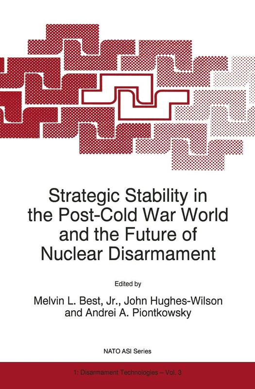 Strategic Stability in the Post-Cold War World and the Future of Nuclear Disarmament: 3 (NATO Science Partnership Subseries: 1, 3)