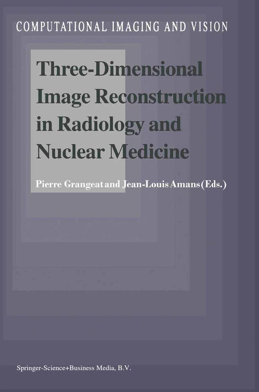 Three-Dimensional Image Reconstruction in Radiology and Nuclear Medicine: 4 (Computational Imaging and Vision, 4)