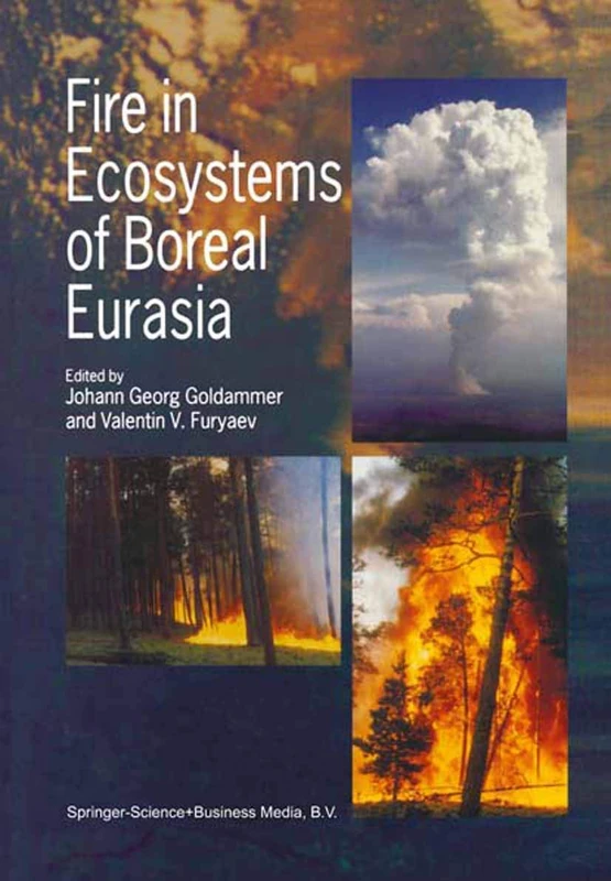 Fire in Ecosystems of Boreal Eurasia: 48 (Forestry Sciences, 48)
