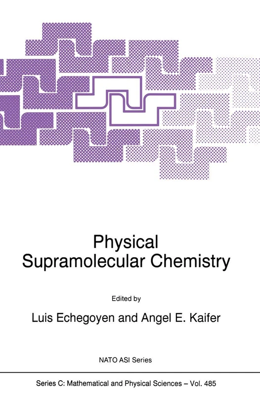 Physical Supramolecular Chemistry: 485 (Nato Science Series C:, 485)