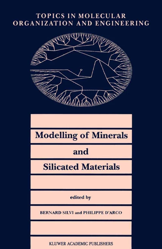 Modelling of Minerals and Silicated Materials: 15 (Topics in Molecular Organization and Engineering, 15)