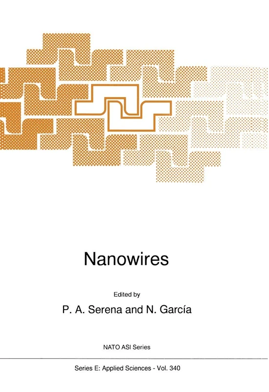 Nanowires: 340 (NATO Science Series E:, 340)