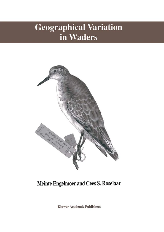Geographical Variation in Waders - Image 1