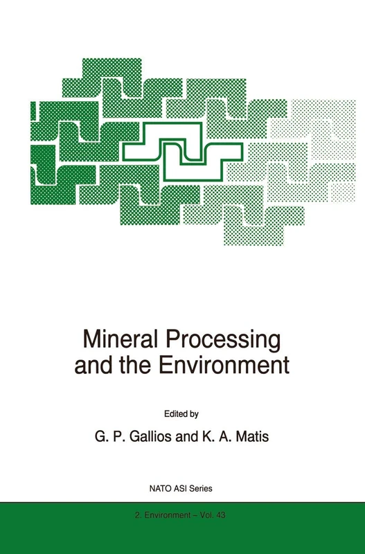 Mineral Processing and the Environment: 43 (NATO Science Partnership Subseries: 2, 43)