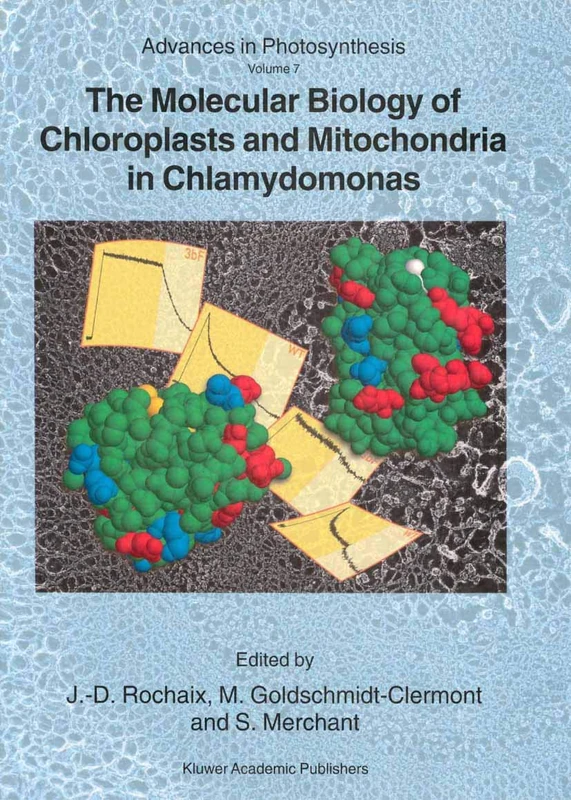 The Molecular Biology of Chloroplasts and Mitochondria in Chlamydomonas: 7 (Advances in Photosynthesis and Respiration, 7)