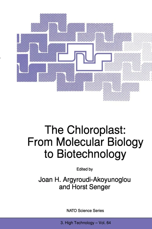 The Chloroplast: From Molecular Biology to Biotechnology: 64 (NATO Science Partnership Subseries: 3, 64)
