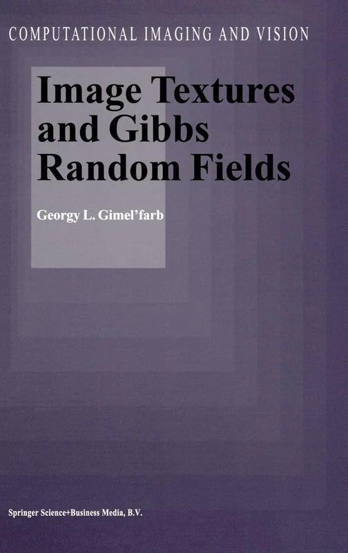 Image Textures and Gibbs Random Fields: v. 16 (Computational Imaging and Vision)