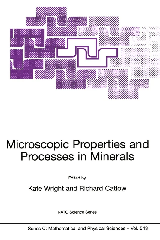 Microscopic Properties and Processes in Minerals: 543 (Nato Science Series C:, 543)