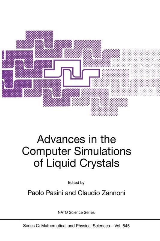 Advances in the Computer Simulations of Liquid Crystals: 545 (Nato Science Series C:, 545)