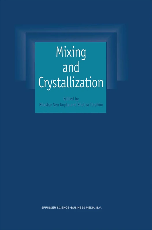 Springer Mixing and Crystallization - Selected Conference Papers - Image 1