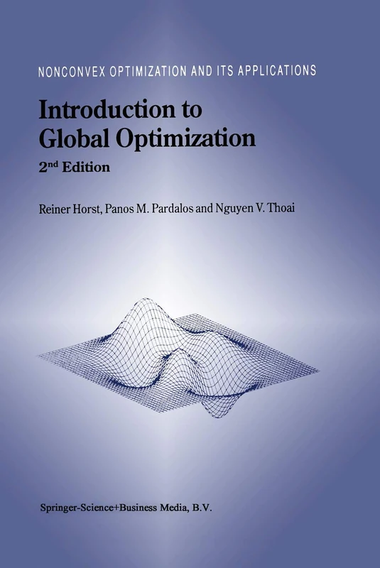 Introduction to Global Optimization: 48 (Nonconvex Optimization and Its Applications, 48)