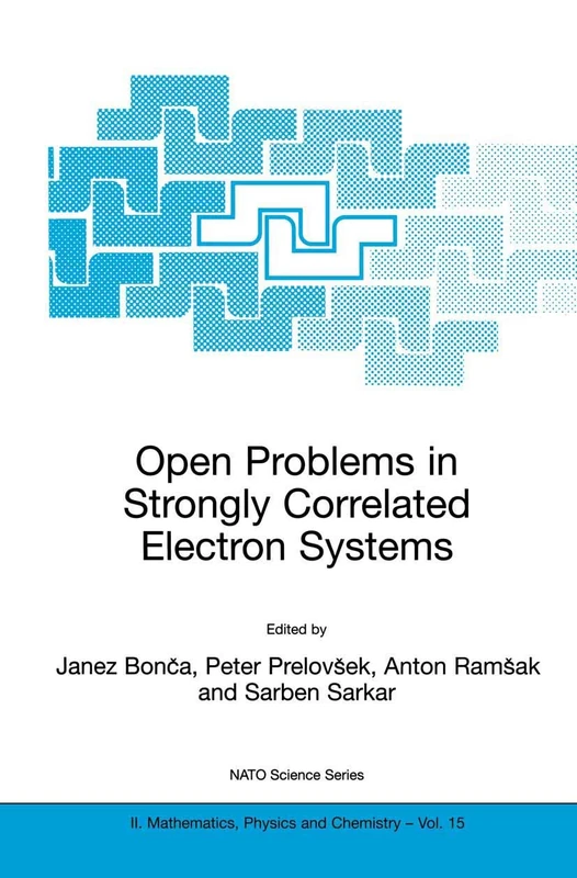 Open Problems in Strongly Correlated Electron Systems: 15 (NATO Science Series II: Mathematics, Physics and Chemistry, 15)