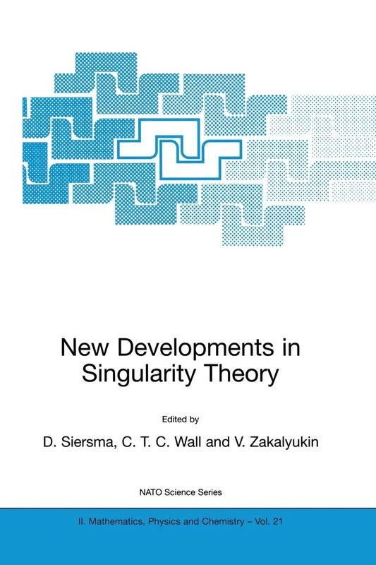 New Developments in Singularity Theory: 21 (NATO Science Series II: Mathematics, Physics and Chemistry, 21)