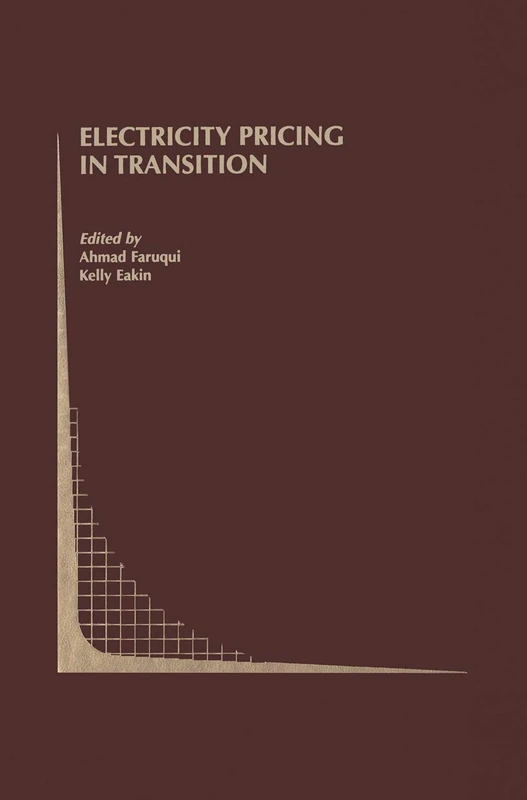 Springer Electricity Pricing in Transition - Academic Book