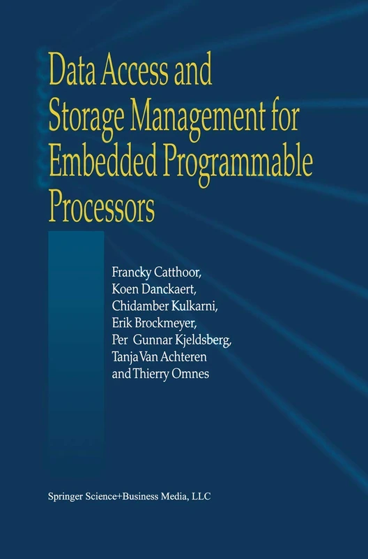 Springer - Data Access and Storage Management for Processors