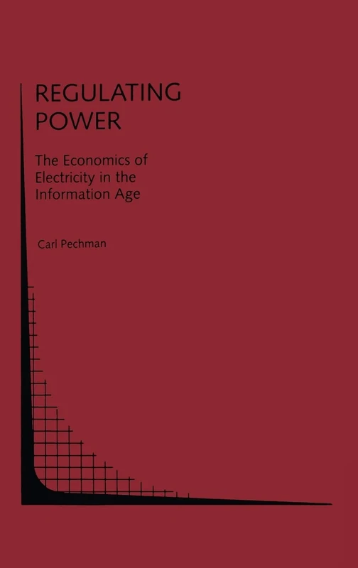 Regulating Power: Economics of Electricity in the Information Age: v.15 (Topics in Regulatory Economics and Policy)
