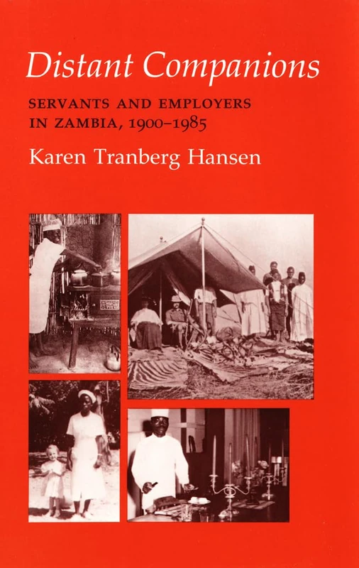 Distant Companions: Servants and Employers in Zambia, 1900–1985 (The Anthropology of Contemporary Issues) - Image 1