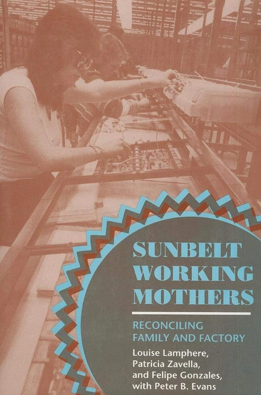 Sunbelt Working Mothers: Reconciling Family and Factory (The Anthropology of Contemporary Issues)