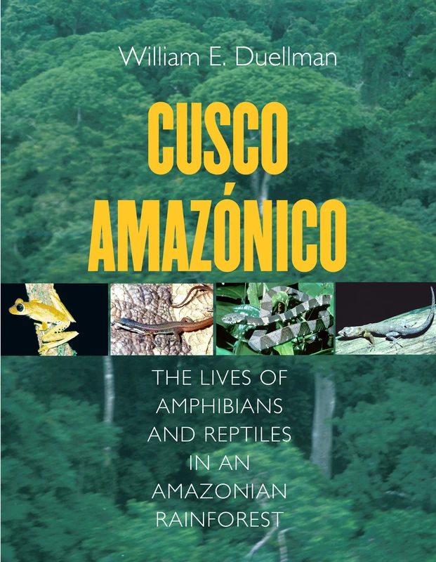 Cusco Amazonico - Amphibians and Reptiles in Amazonian Rainforest