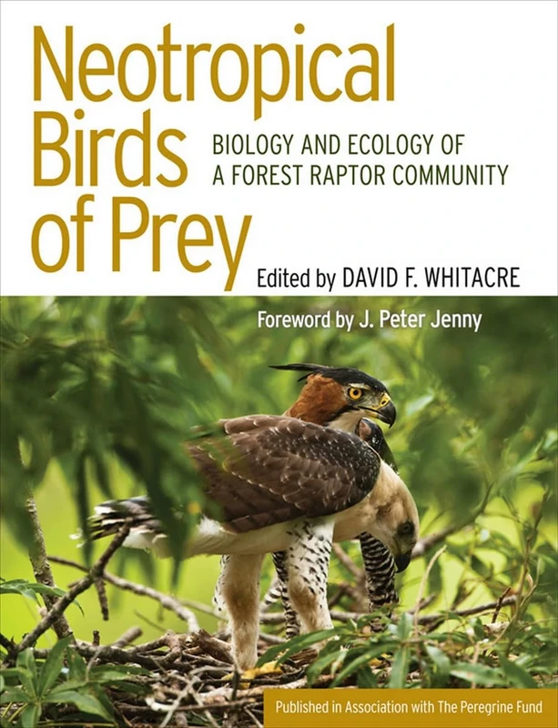 Neotropical Birds of Prey: Biology and Ecology of a Forest Raptor Community (Published in Association with the Peregrine Fund)