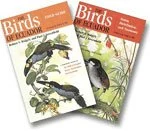 The Birds of Ecuador: Two-Volume Set