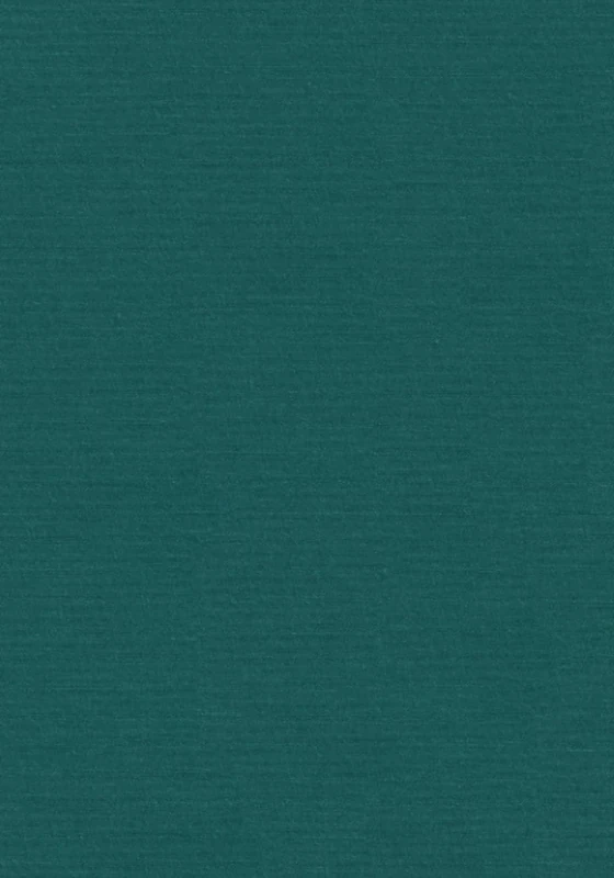 Sharks, Skates, and Rays: The Biology of Elasmobranch Fishes