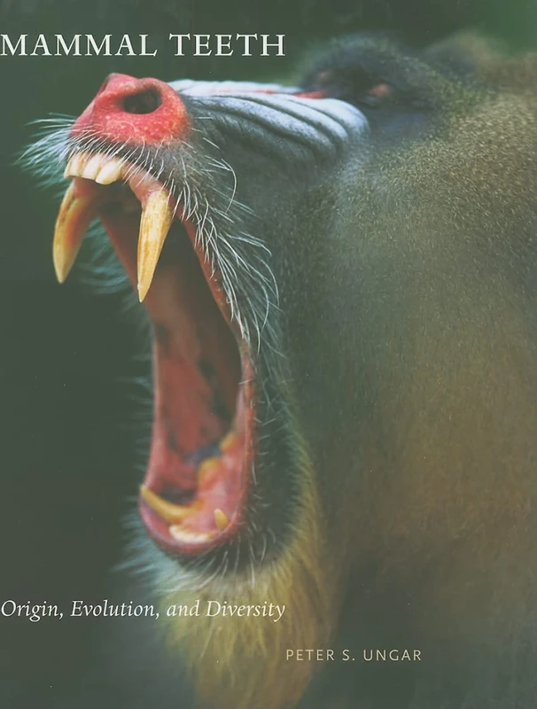 Mammal Teeth – Origin, Evolution, and Diversity