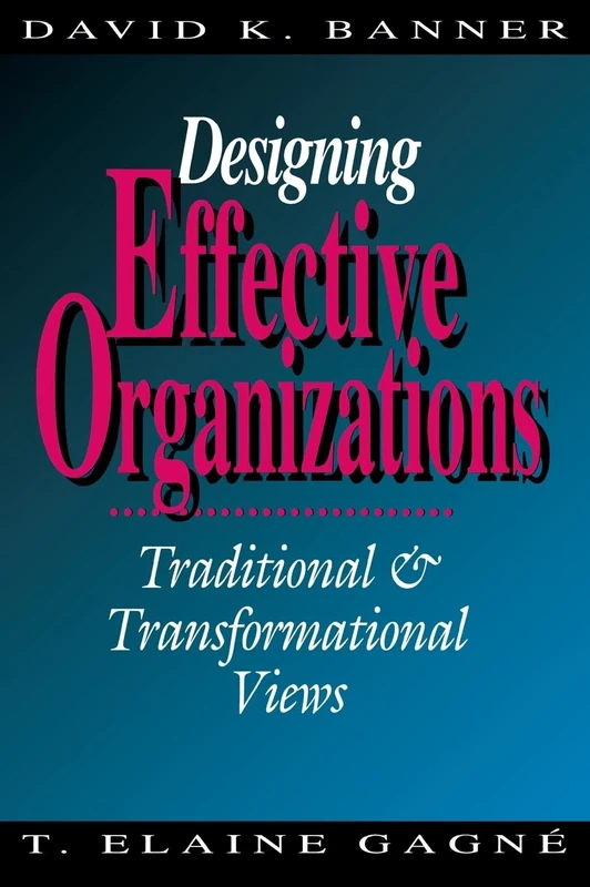Designing Effective Organizations: Traditional and Transformational Views - Image 1
