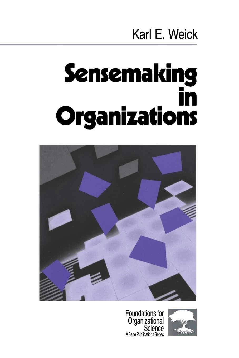 Sensemaking in Organizations: 3 (Foundations for Organizational Science)