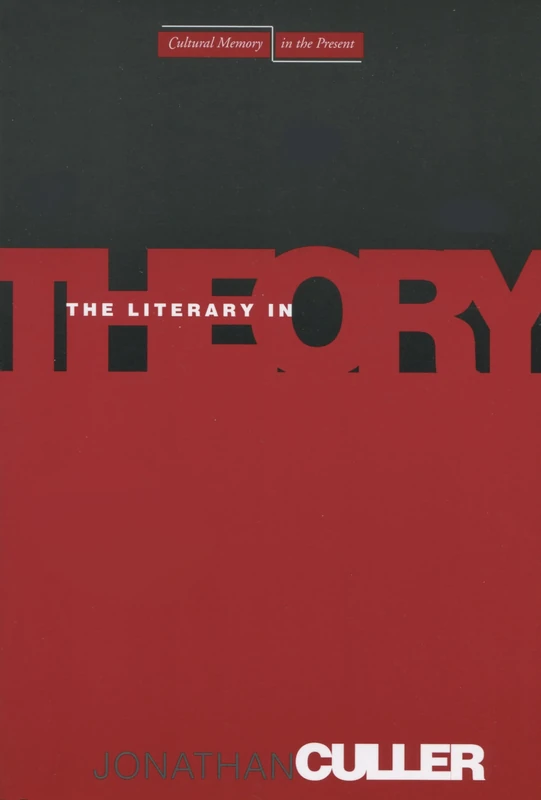 The Literary in Theory (Cultural Memory in the Present) - Image 1