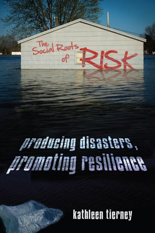Stanford Business Books - The Social Roots of Risk - Image 1