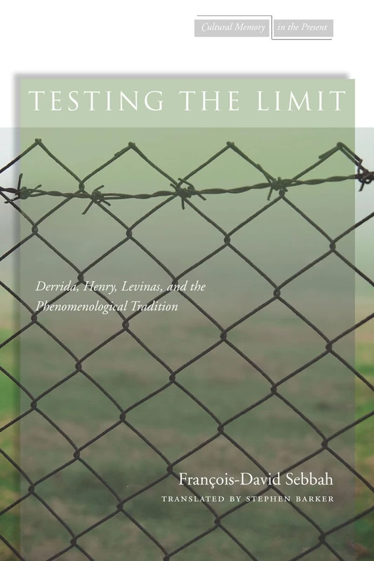 Testing the Limit: Derrida, Henry, Levinas - Stanford Press