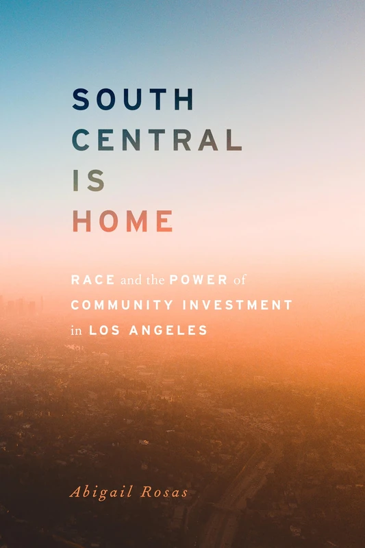 South Central Is Home: Race and the Power of Community Investment in Los Angeles (Stanford Studies in Comparative Race and Ethnicity)