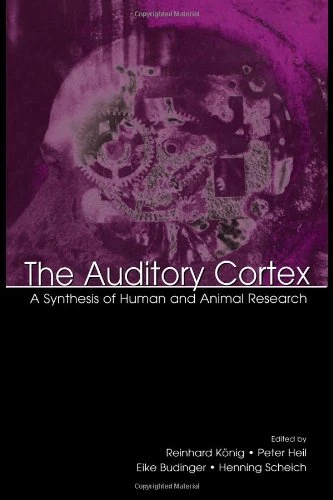 The Auditory Cortex: A Synthesis of Human and Animal Research