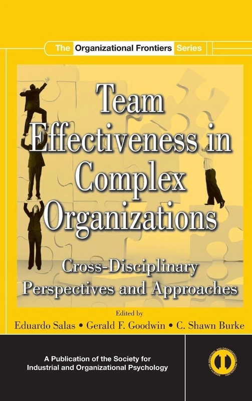 Routledge Team Effectiveness In Complex Organizations Book