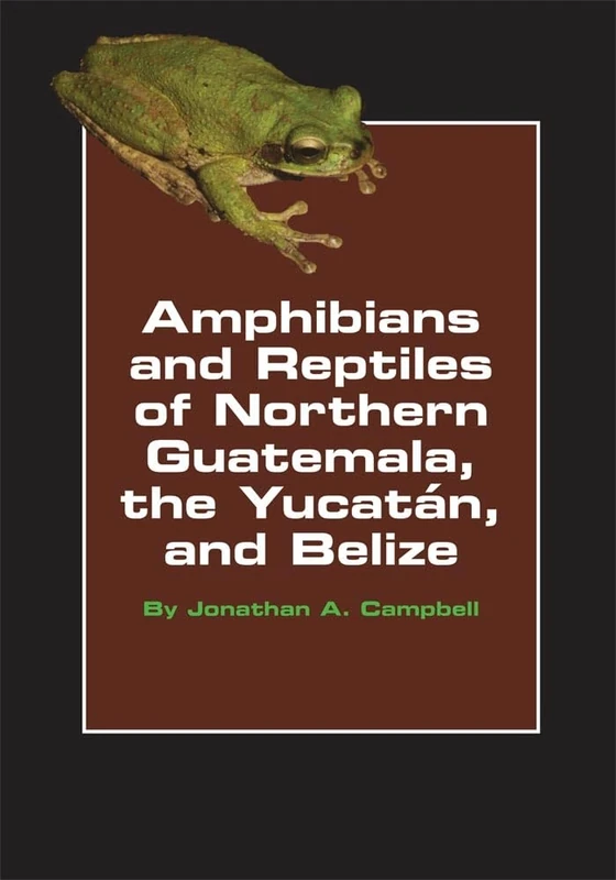 Amphibians and Reptiles of Northern Guatemala, the Yucatan, and Belize: 4 (Animal Natural History Series)