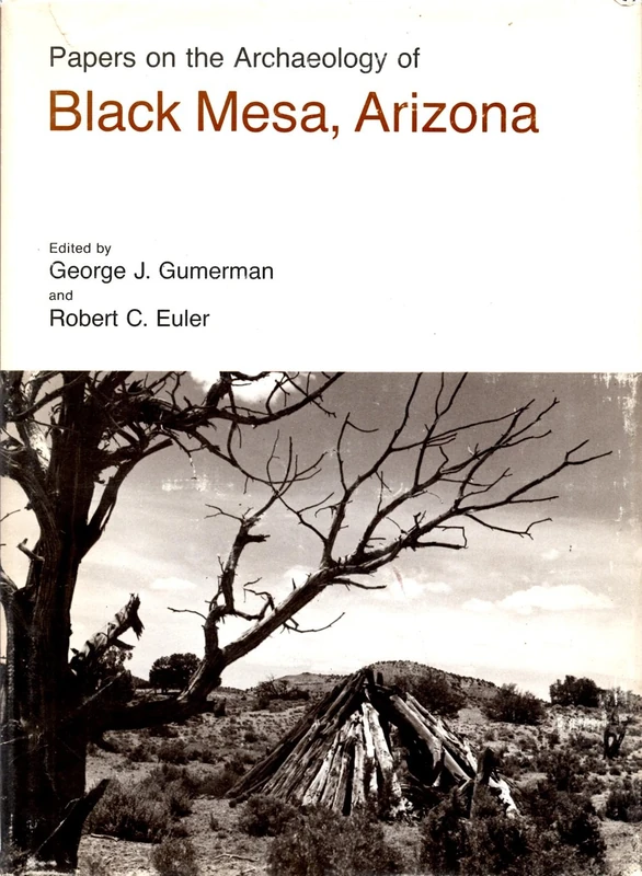Papers on the Archaeology of Black Mesa Arizona (Lost American Fiction)