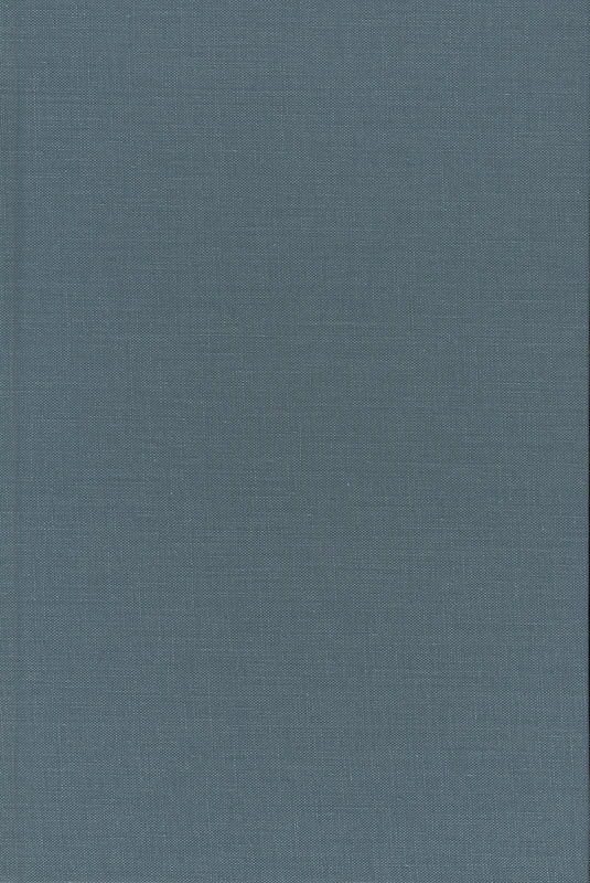 The Void of Ethics: Robert Musil and the Experience of Modernity (Avant-Garde & Modernism Studies)