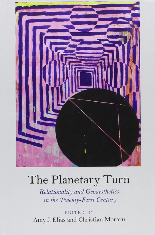 The Planetary Turn: Relationality and Geoaesthetics in the Twenty-First Century