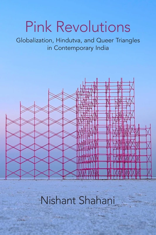Pink Revolutions: Globalization, Hindutva, and Queer Triangles in Contemporary India (Critical Insurgencies) - Image 1
