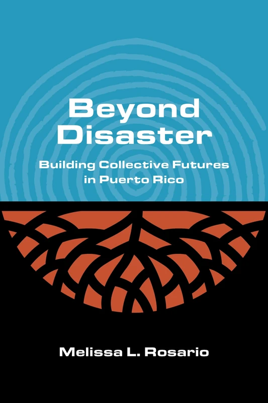 Beyond Disaster: Building Collective Futures in Puerto Rico (Critical Insurgencies)