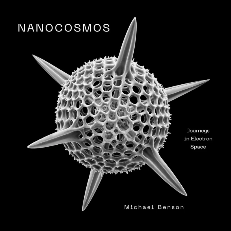 Nanocosmos: Journeys in Electron Space - Image 1