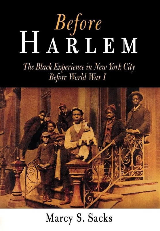 Before Harlem: The Black Experience in New York City Before World War I (Politics and Culture in Modern America)