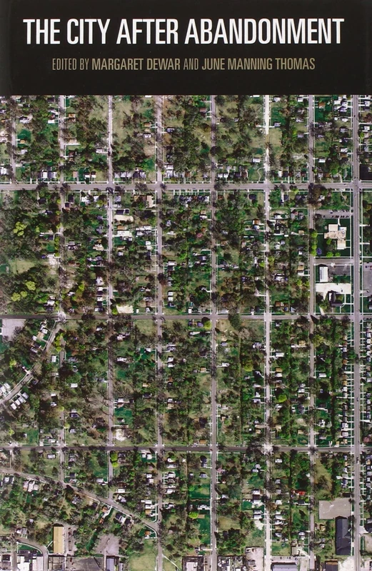 The City After Abandonment (The City in the Twenty-First Century)