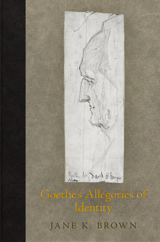 Goethe's Allegories of Identity (Haney Foundation Series)