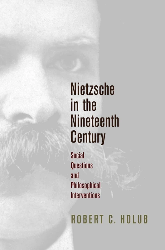 Nietzsche in the Nineteenth Century: Social Questions and Philosophical Interventions (Intellectual History of the Modern Age)