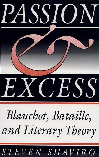 Passion and Excess: Blanchot, Bataille and Literary Theory - Image 1