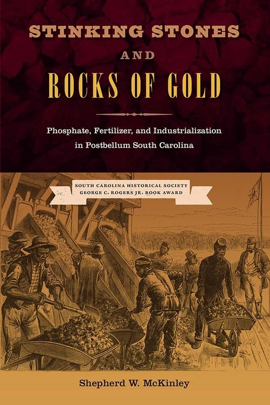 Stinking Stones and Rocks of Gold: Phosphate, Fertilizer, and Industrialization in Postbellum South Carolina (New Perspectives on the History of the South)
